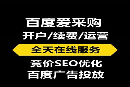 SEM广告创意与优化：成功案例分享